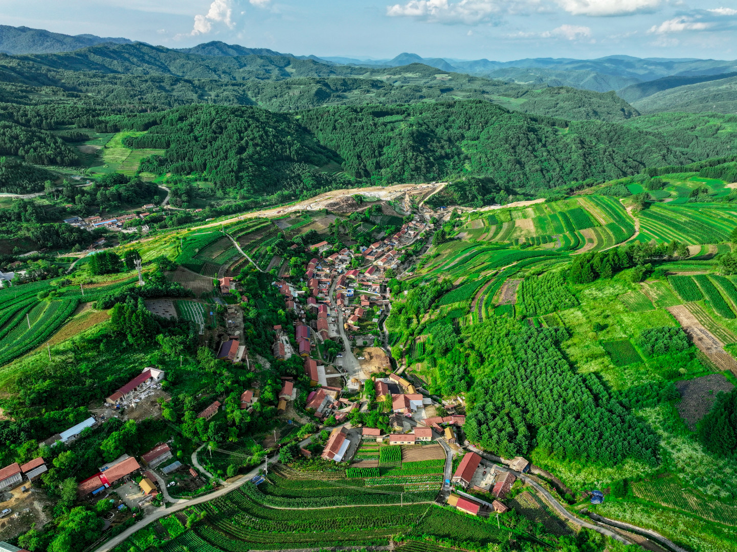 DJI_20240718170333_0275_D-opq3110145219