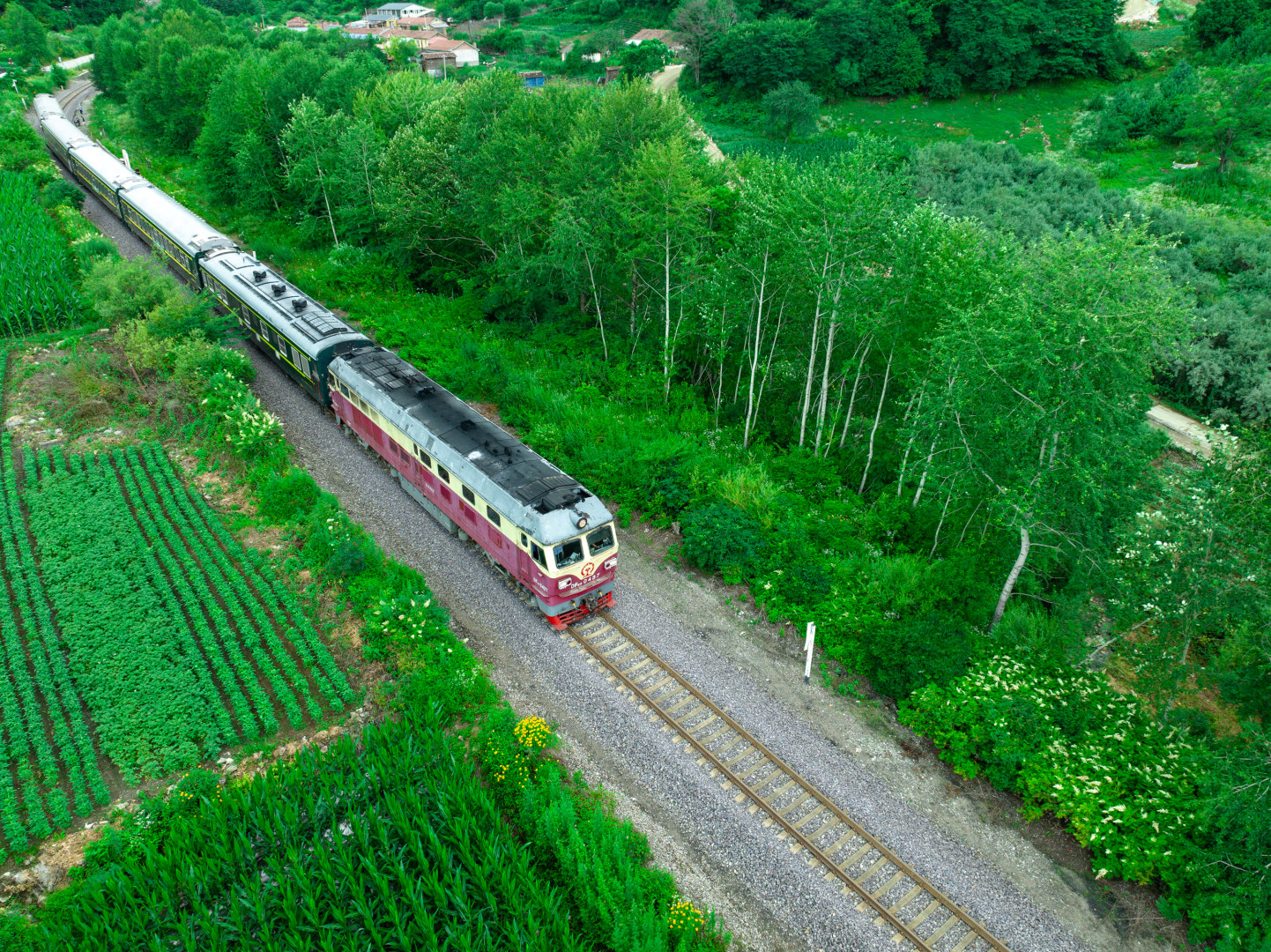DJI_20240718101039_0236_D-opq3110128157