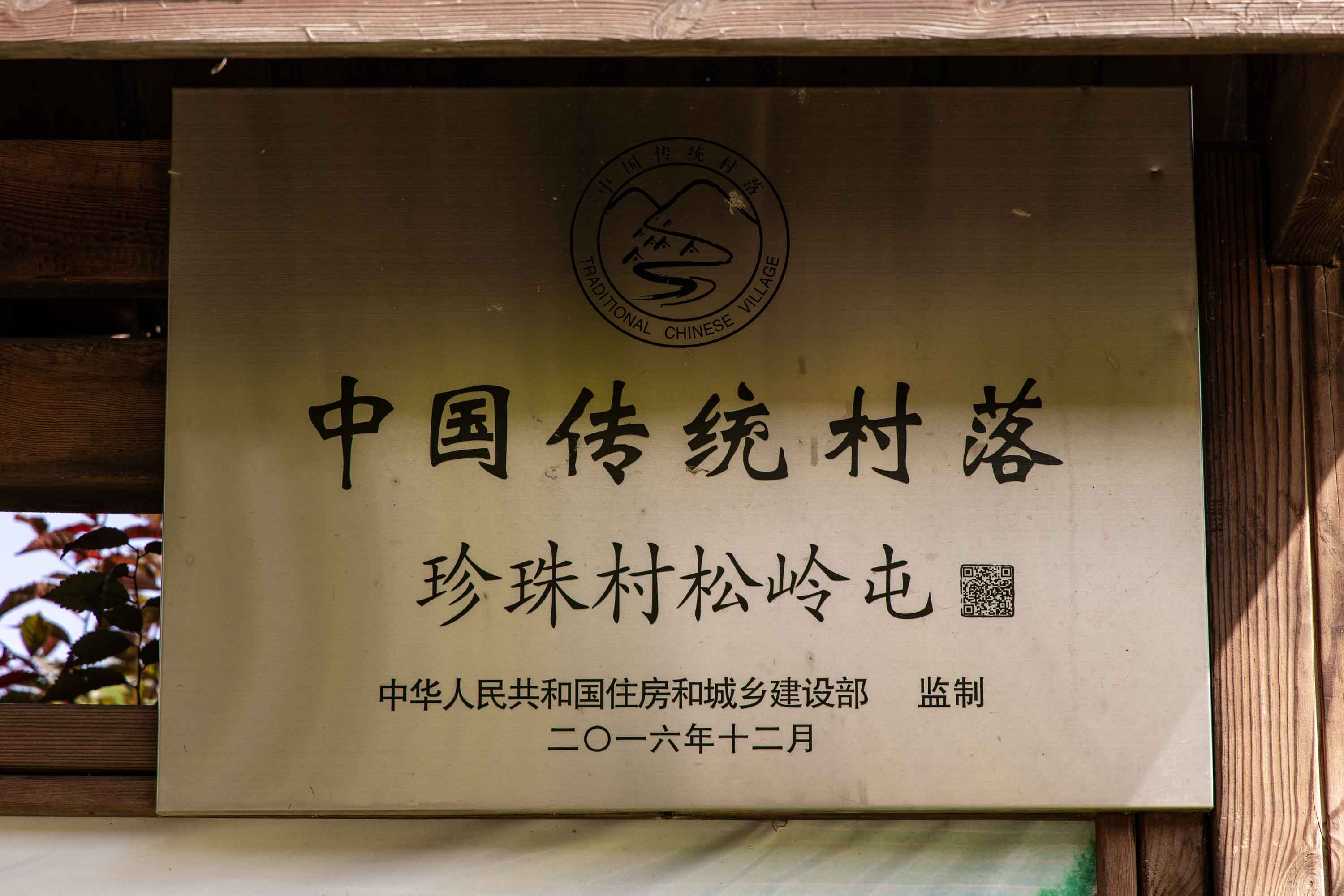 211A3544-opq3105370193